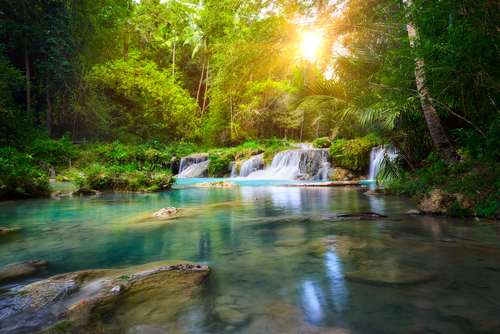 Parque Natural en Siquijor