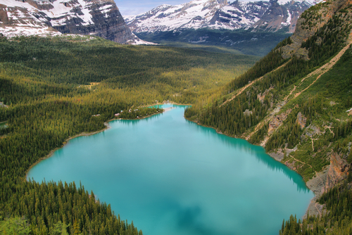 Lago O'Hara en Canadá