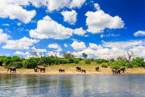 Chobe National Park en Botsuana