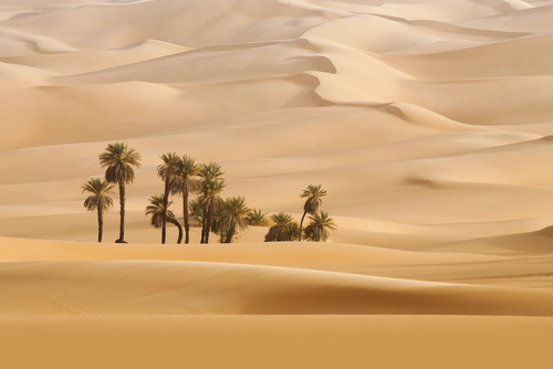 Desierto del Sahara en Argelia