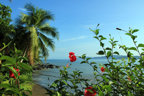 Bahía Drake en la península de Osa