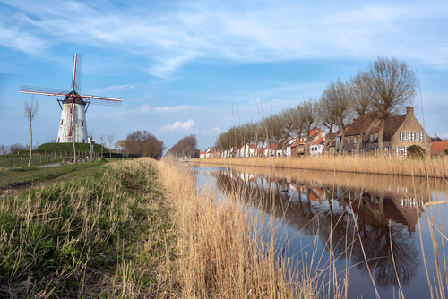 Damne en Bélgica