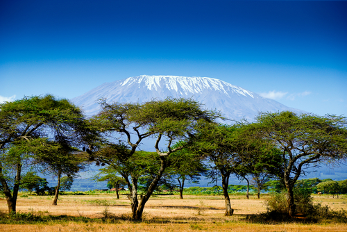 Enamórate de Kenia y de su naturaleza salvaje