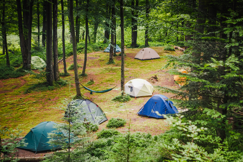 Acampada