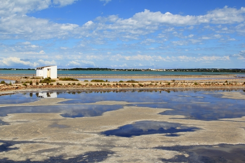 Ses Salines en Ibiza