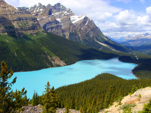Lago Peyto en Canadá