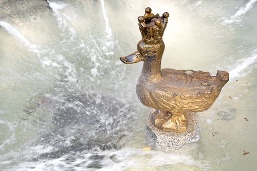 Pato de oro de Varsovia