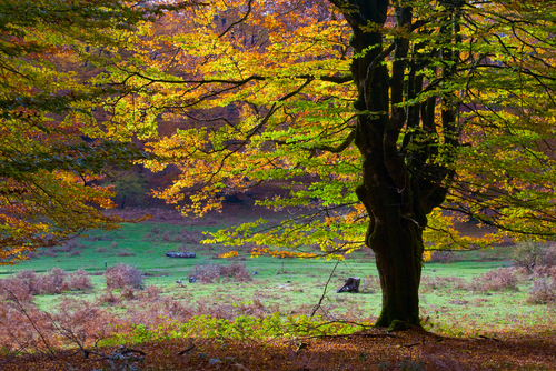 Parque Natural Urbasa-Andía