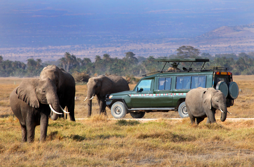 Safari en Kenia
