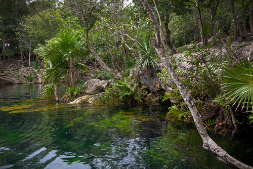 Parque Nacional Tulum