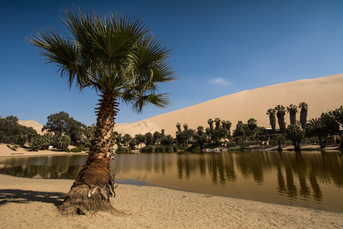 Oasis Huacachina en Perú