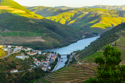 Valle del duero en el norte de Portugal