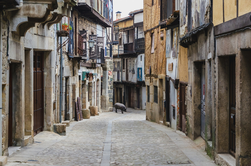 Cerdo de San Antón en Mogarraz