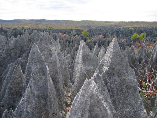 Pináculos en Tsingy