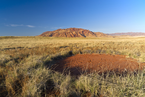 Campos de Círculos en Namibia