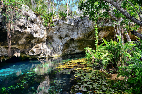 Gran Cenote en Tulum