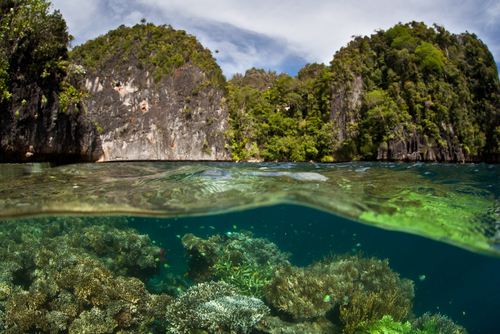 Islas Limestone en Raja Ampat