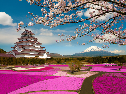 5 datos (o más) sobre Japón que te sorprenderán
