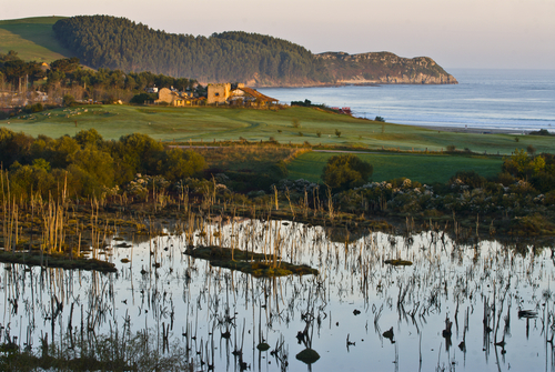 Parque Natural de Oyambre