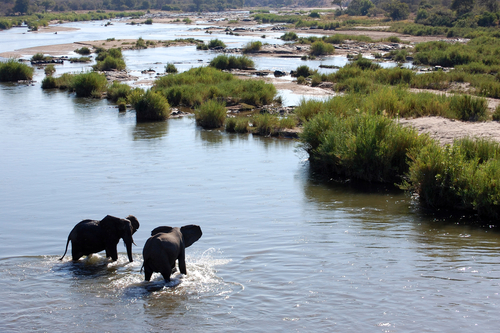 Parque Nacional Kruger