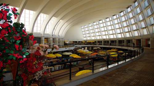 Mercado Bom Sucesso de Oporto