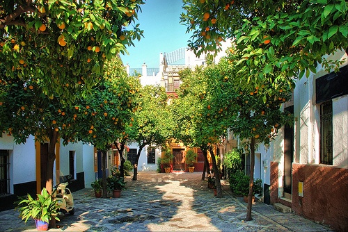 Barrio de Santa Cruz en Sevilla