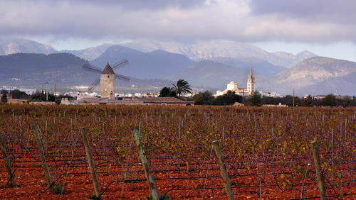 Binissalem en Mallorca