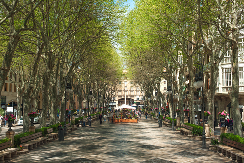 Paseo del Borne en Palma de Mallorca