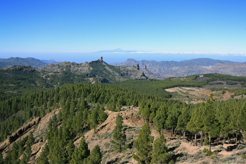 Pozo de las Nieves en Gran Canaria