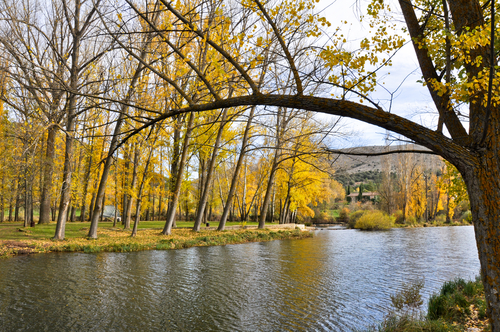 Río Duero en Soria