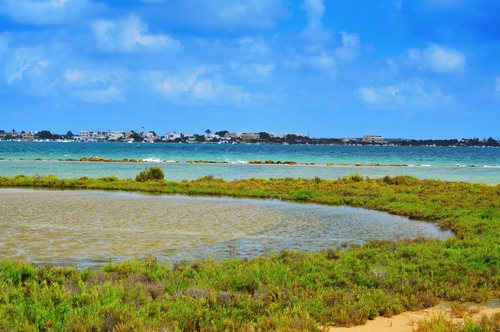 Estany des Peix en Formentera