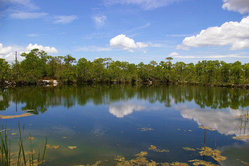 Big Pine Key en Cayos de Florida