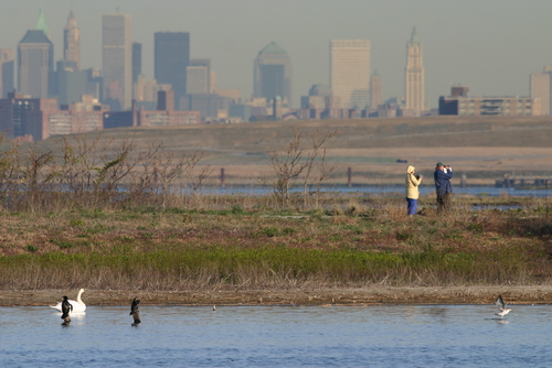 Jamaica Bay en NuevaYork