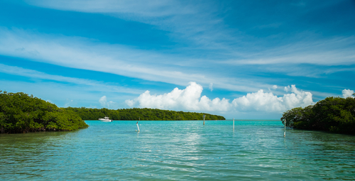 Cayos de Florida