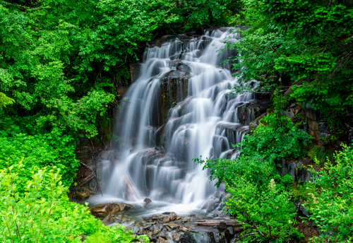 Río Paraíso