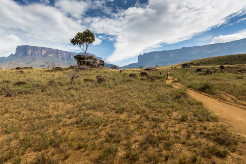Camino en la Gran Sabana