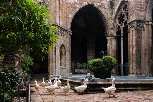 Catedral de Barcelona