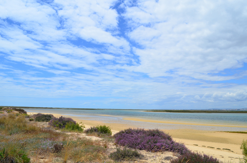 Ilha deserta en Algarve