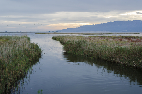 Delta del Ebro