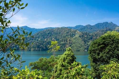 Royal Belum Rainforest