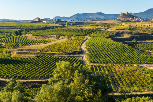 Una escapada perfecta por tierras de La Rioja