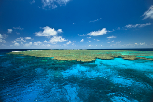 Gran Barrera de Coral