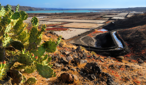Salinas de Janubio en Lanzarote