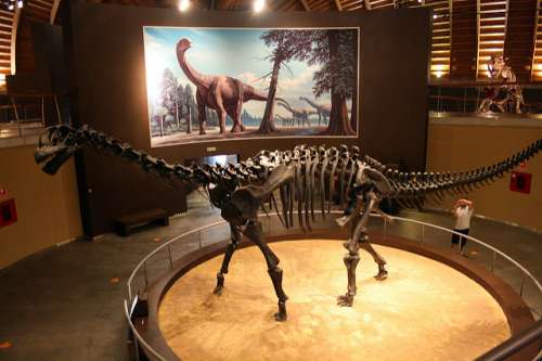 Museo Jurásico de Asturias