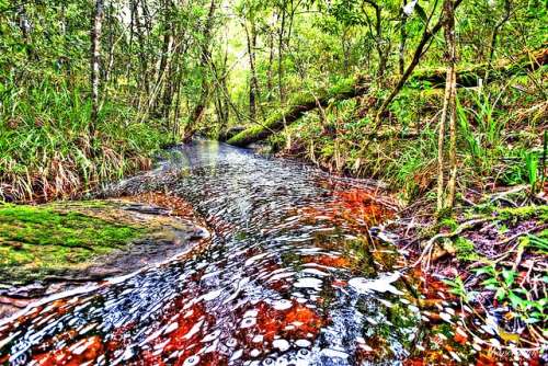 Phu Ruea,Tailandia