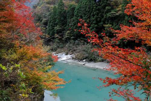 Isla Shikoku