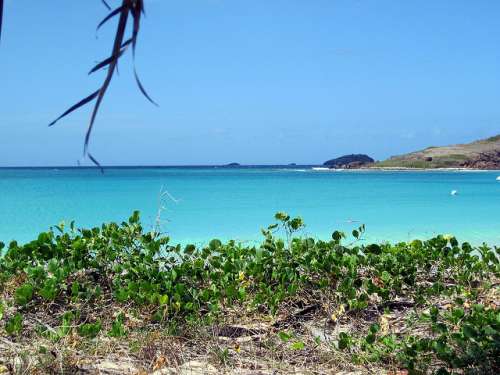 Playa Tortuga en Puerto Rico