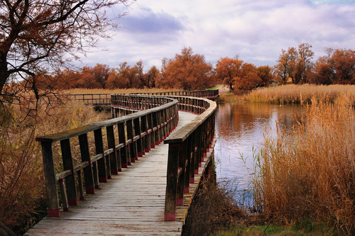 Tablas de Daimiel en Ciudad Real