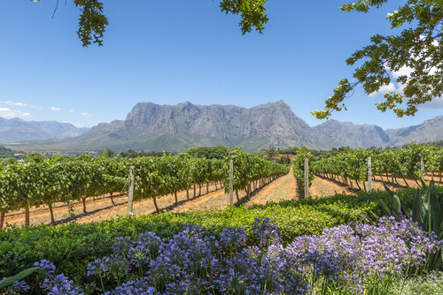 Cape Winelands en Ciudad del Cabo