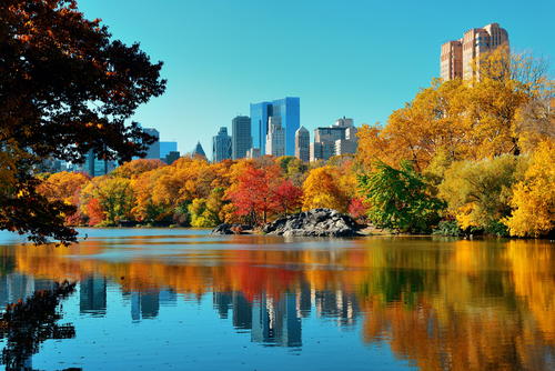 Central Park en Manhattan